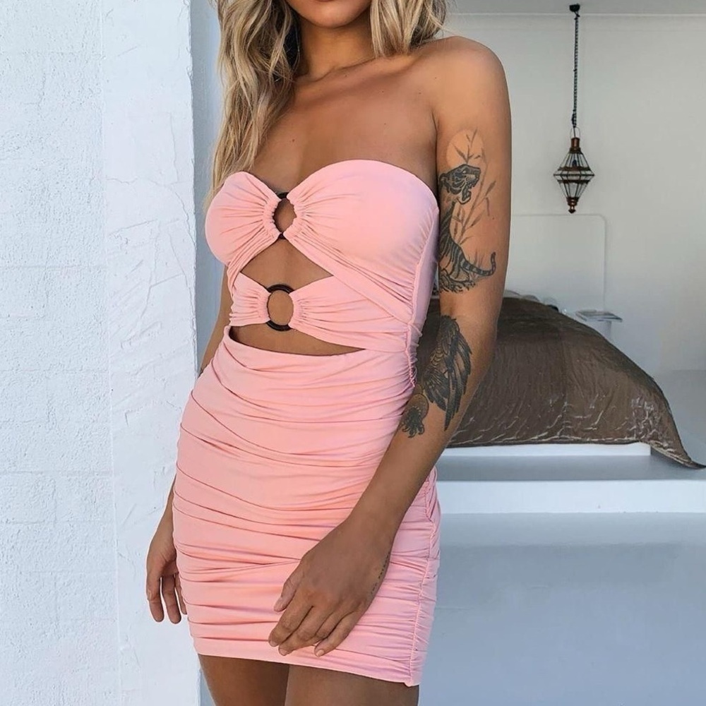 TIGER MIST Hamilton Dress In Blush